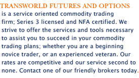 Transworld Futures