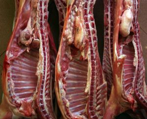 Pork Bellies Transworld Futures